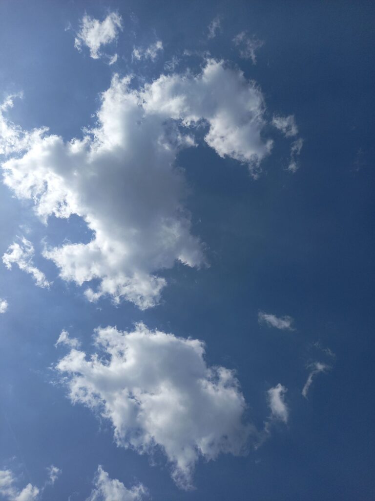 08